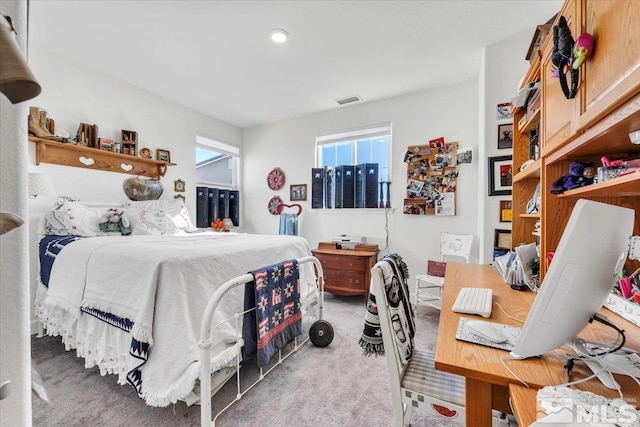 bedroom with carpet floors