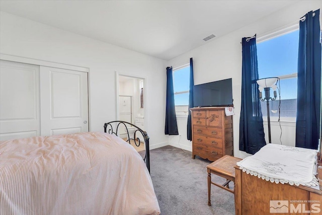 bedroom featuring multiple windows, carpet flooring, and a closet