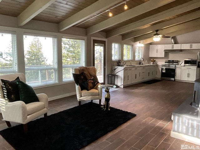 living room with dark wood-type flooring and a healthy amount of sunlight