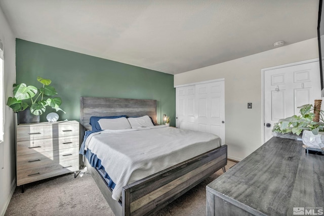 bedroom featuring carpet floors and a closet