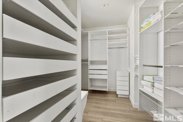 spacious closet with light hardwood / wood-style flooring