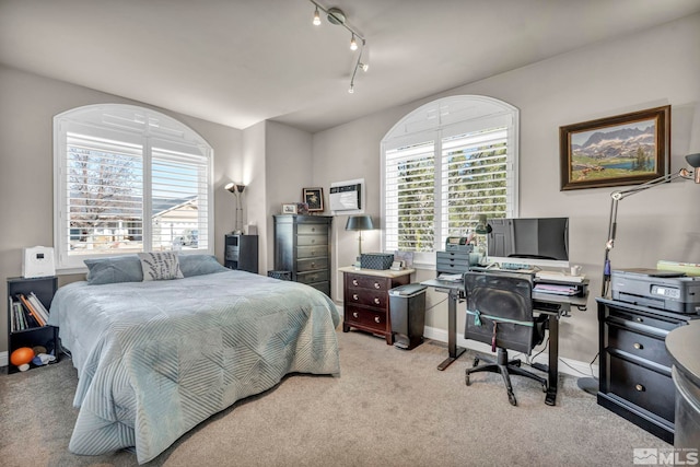 carpeted bedroom with multiple windows