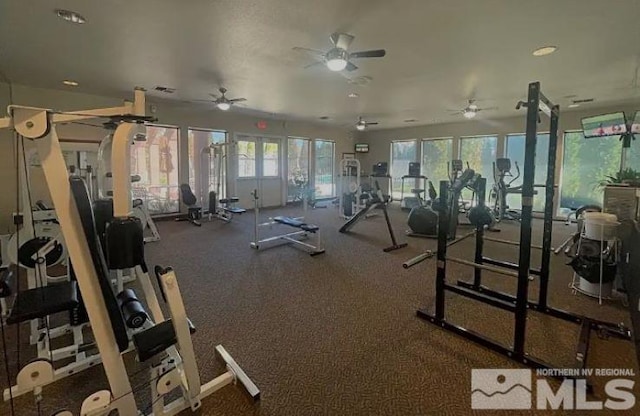 gym featuring plenty of natural light, ceiling fan, and french doors