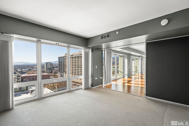 spare room with carpet flooring and a healthy amount of sunlight