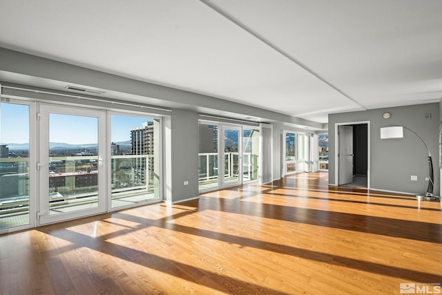 interior space featuring wood-type flooring and a wealth of natural light