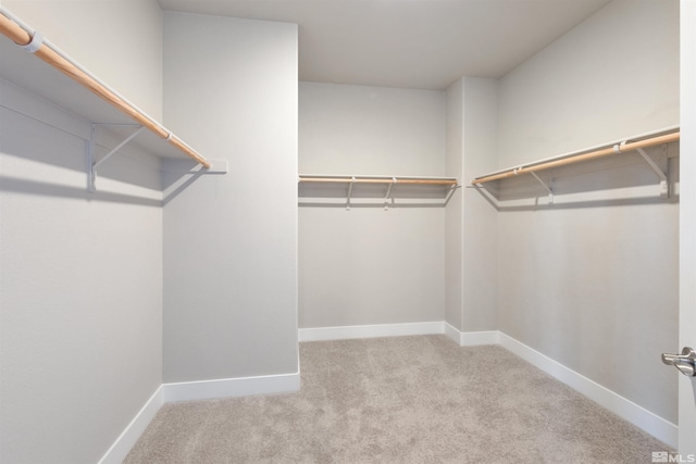 walk in closet with light colored carpet