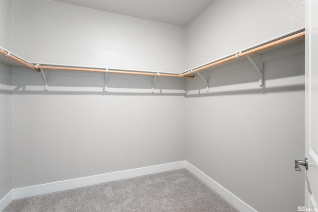 spacious closet with carpet floors