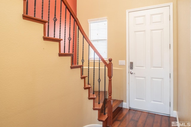 entryway featuring dark hardwood / wood-style flooring