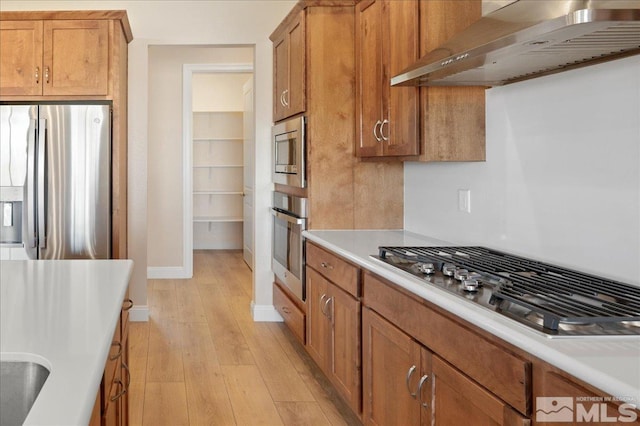 kitchen with wall chimney exhaust hood, light wood-type flooring, and appliances with stainless steel finishes