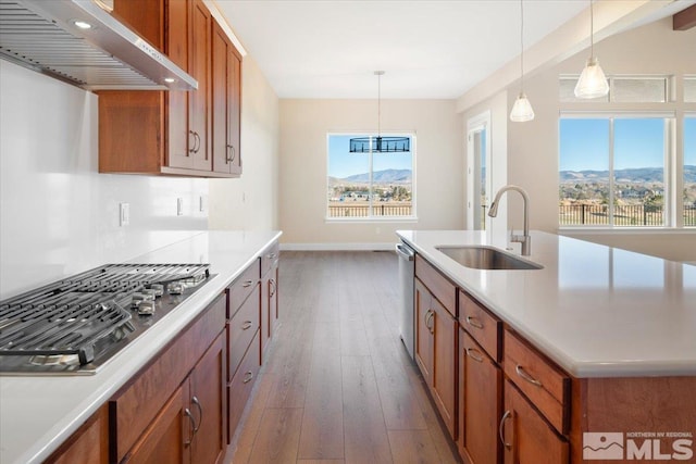 kitchen with a mountain view, dark hardwood / wood-style floors, sink, and exhaust hood