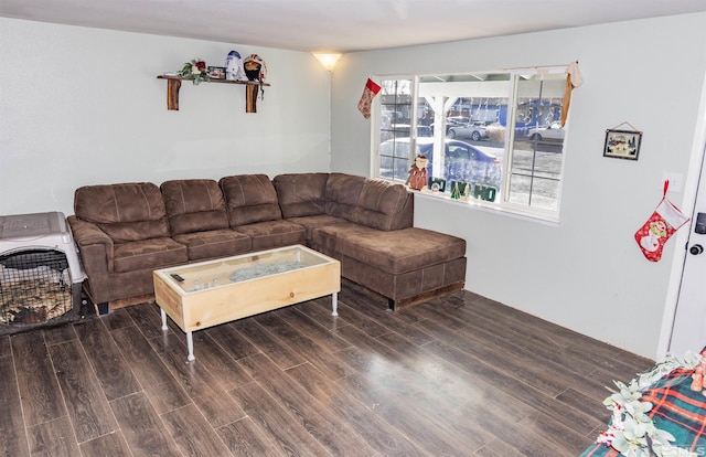 living room featuring dark hardwood / wood-style floors