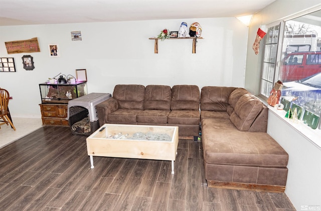 living room with dark hardwood / wood-style flooring