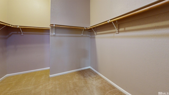 spacious closet with light colored carpet