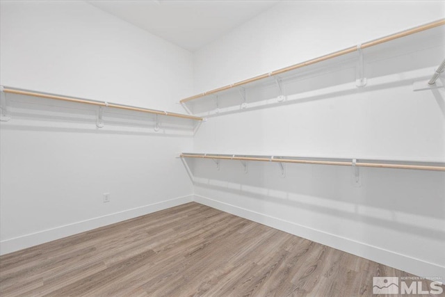 spacious closet with hardwood / wood-style floors