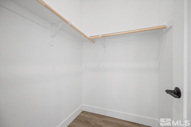 spacious closet featuring hardwood / wood-style floors