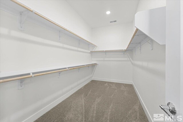 walk in closet featuring carpet floors