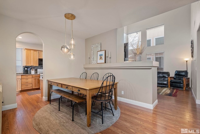 dining room with light hardwood / wood-style flooring