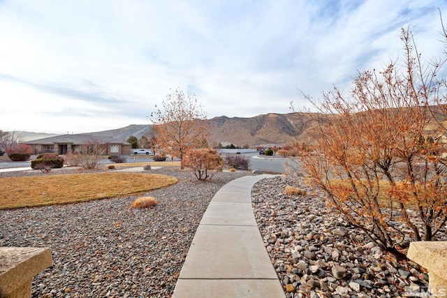 view of yard featuring a mountain view