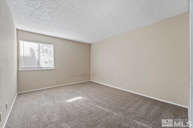 empty room featuring carpet and a textured ceiling