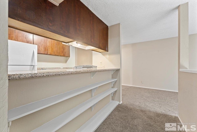 interior space with light carpet and a textured ceiling