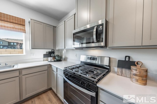 kitchen with gray cabinets, stainless steel appliances, and light hardwood / wood-style flooring