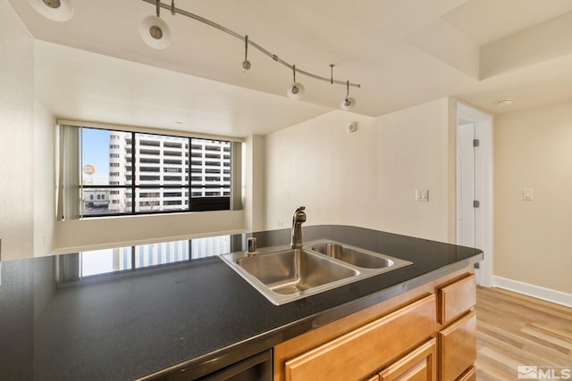 kitchen with light wood-type flooring and sink