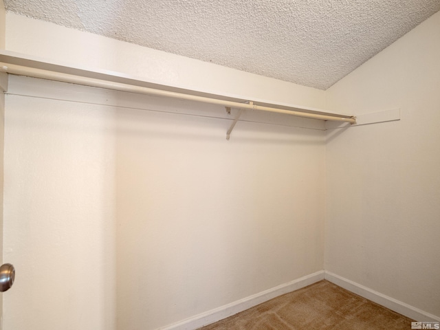 walk in closet featuring carpet flooring