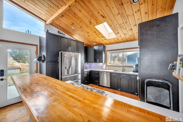 kitchen featuring a healthy amount of sunlight, lofted ceiling with skylight, and stainless steel appliances