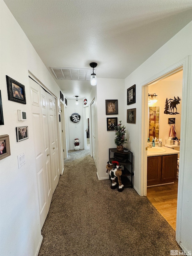 hall with carpet floors and a textured ceiling