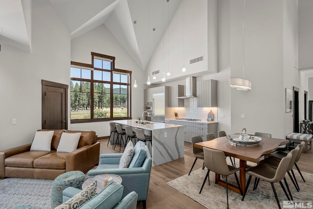 interior space featuring light wood-type flooring, high vaulted ceiling, and sink