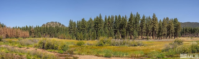 view of local wilderness with a rural view