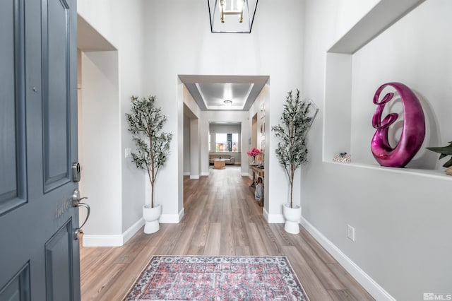 foyer entrance with light wood-type flooring