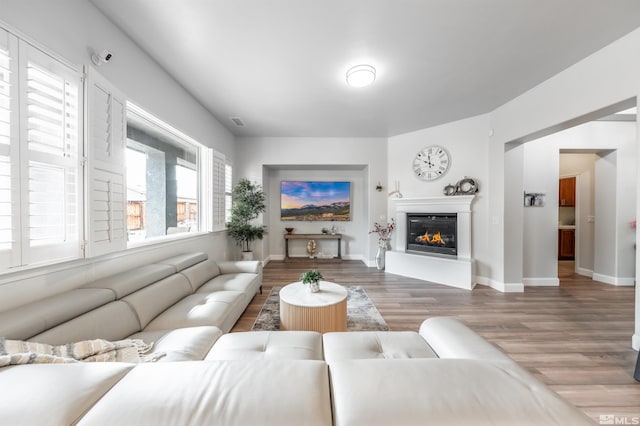 living room featuring wood-type flooring