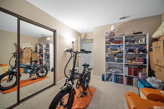 exercise area featuring carpet flooring