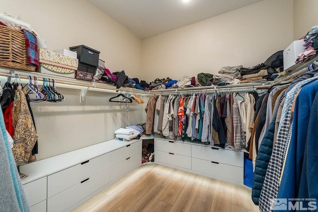 walk in closet with light wood-type flooring