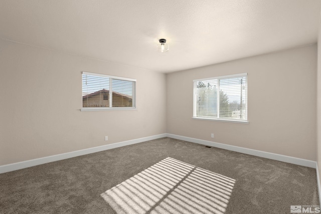 carpeted spare room with a wealth of natural light