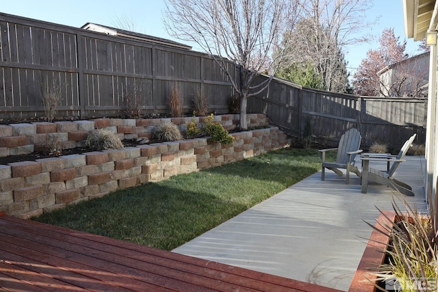 view of yard featuring a patio