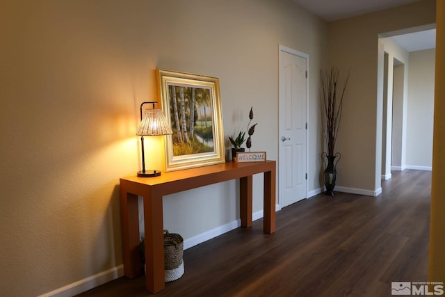 hallway featuring dark wood-type flooring