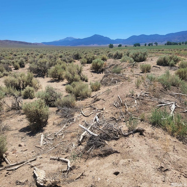 TBD Grant View, Wellington NV, 89444 land for sale