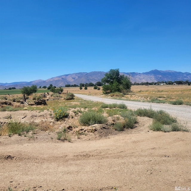 Listing photo 2 for TBD Grant View, Wellington NV 89444