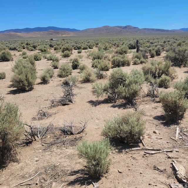 Listing photo 3 for TBD Grant View, Wellington NV 89444