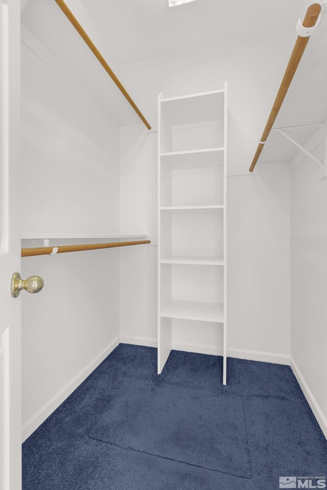 spacious closet featuring carpet