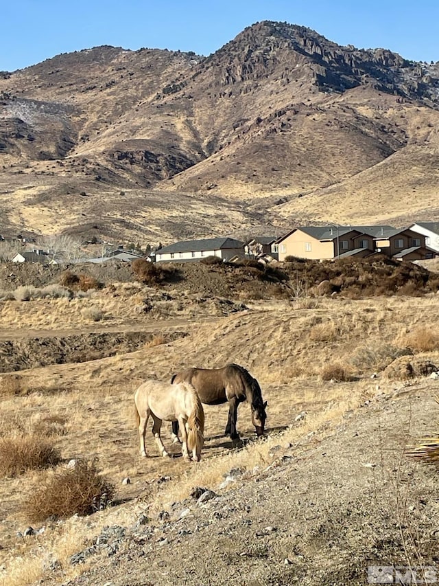 property view of mountains with a rural view