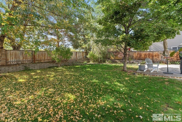 view of yard with a patio area