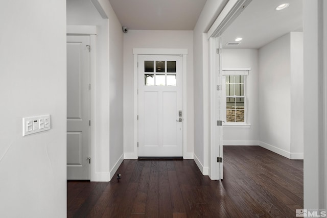 foyer entrance featuring dark wood-type flooring