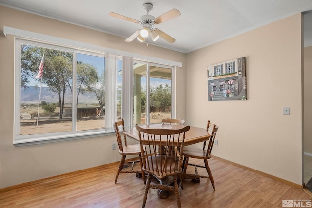 dining room with ceiling fan, light hardwood / wood-style flooring, and crown molding