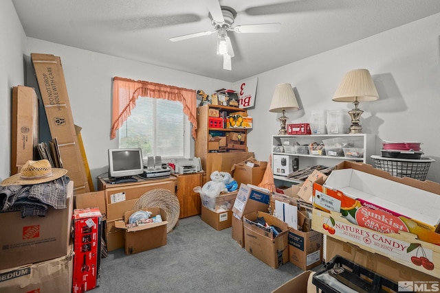 carpeted office space with ceiling fan