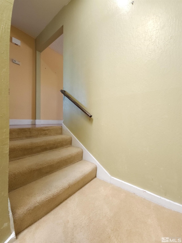 staircase featuring carpet flooring