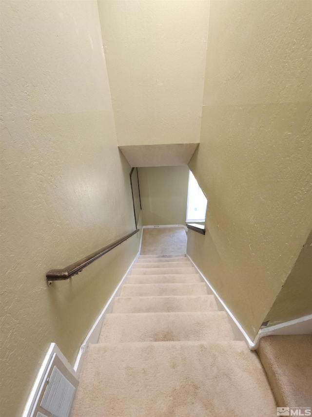 staircase with carpet