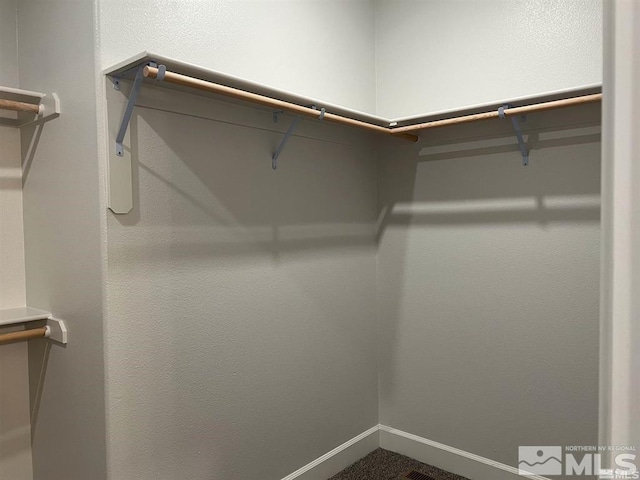 view of walk in closet